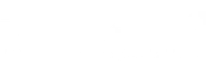 Milestone Aviation Services